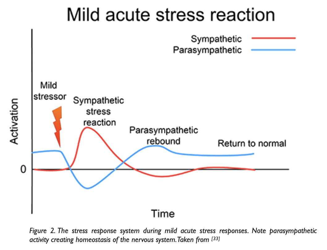 acute stress response