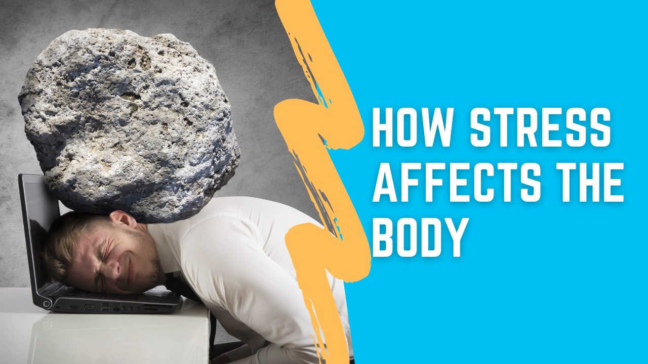 stress affects the body